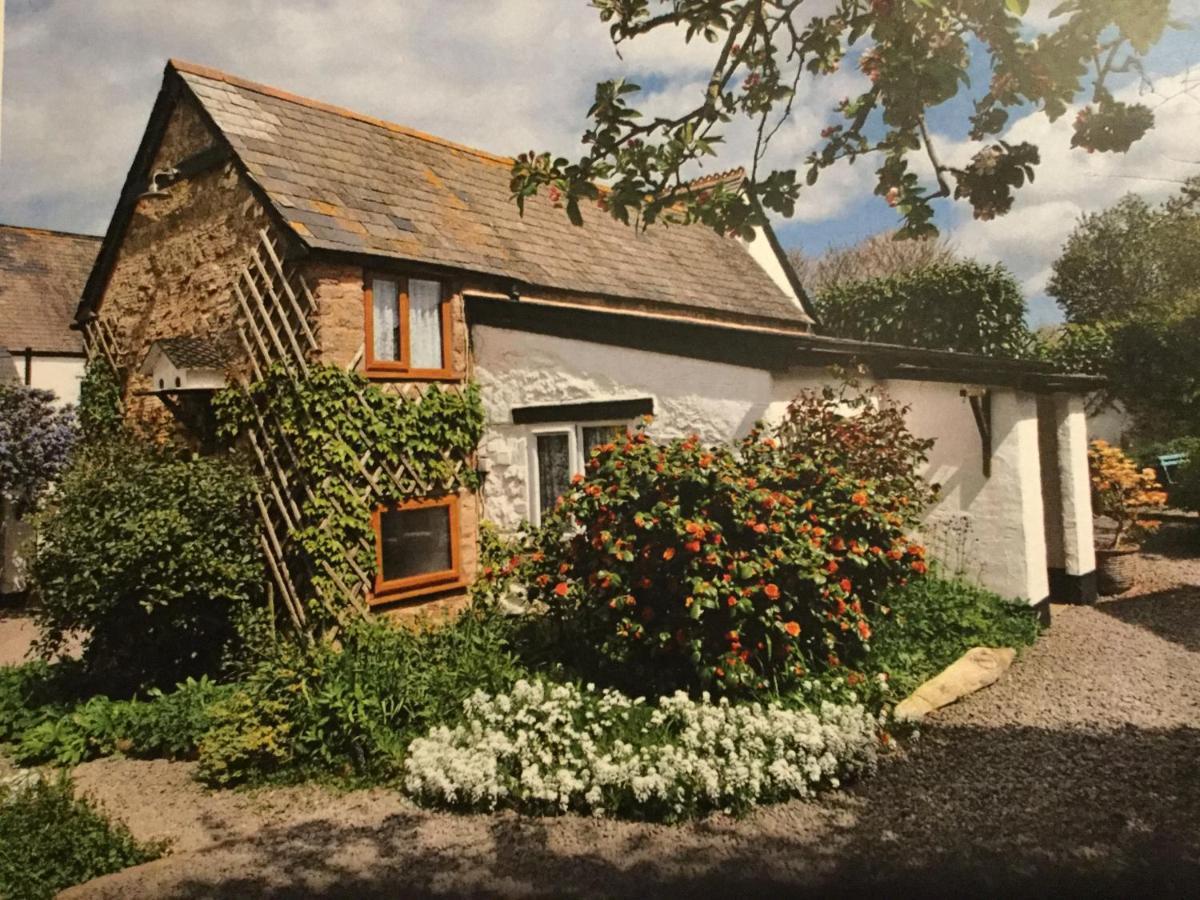 Steps Farmhouse B&B Minehead Exterior foto