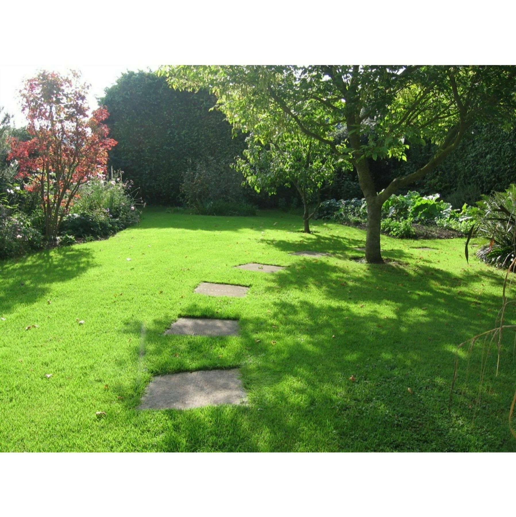Steps Farmhouse B&B Minehead Exterior foto